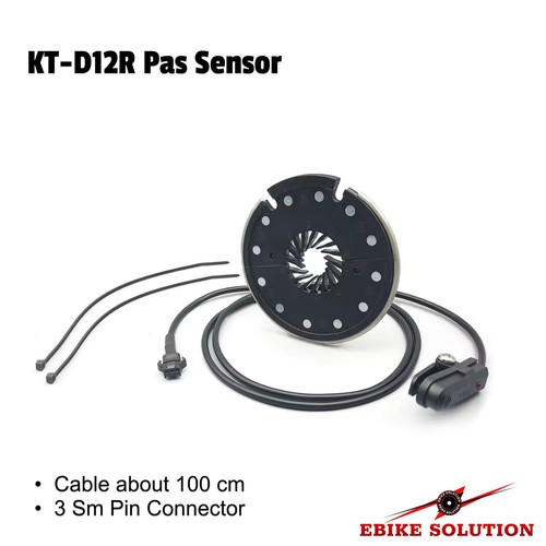 D12r pas sensor magnet - 12,