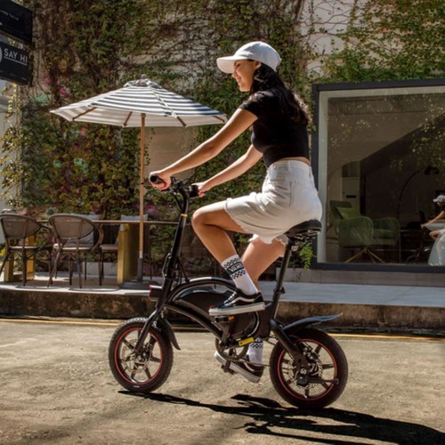 Folding electric bike - folding, 250w